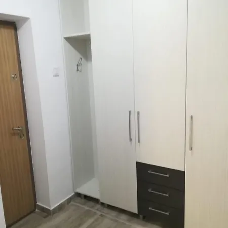 Apartment Muncii Studio 2