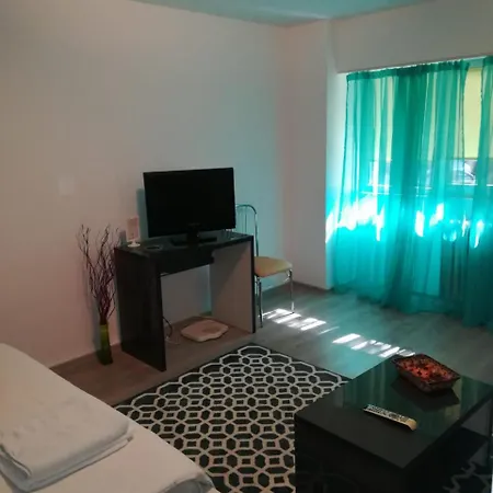 Apartment Muncii Studio 2
